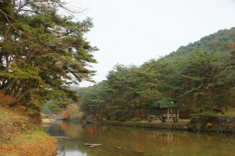 경자 이미지