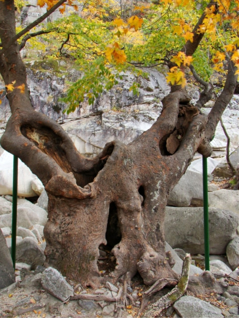 삼일투어 이미지