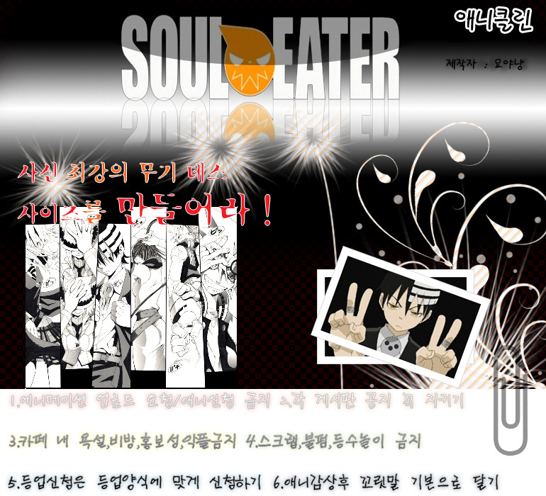 애니클린 이미지