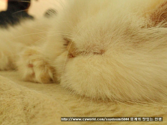 지오까페 이미지