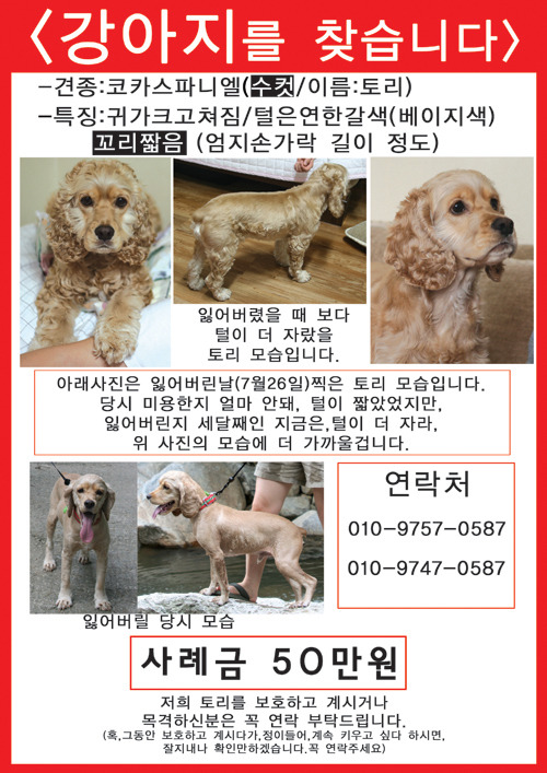 코카 이미지