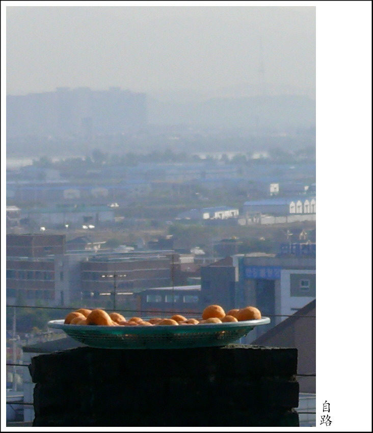 달감 이미지