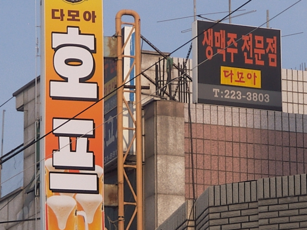 다모아호프 이미지