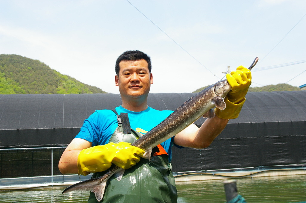 상어식당 이미지