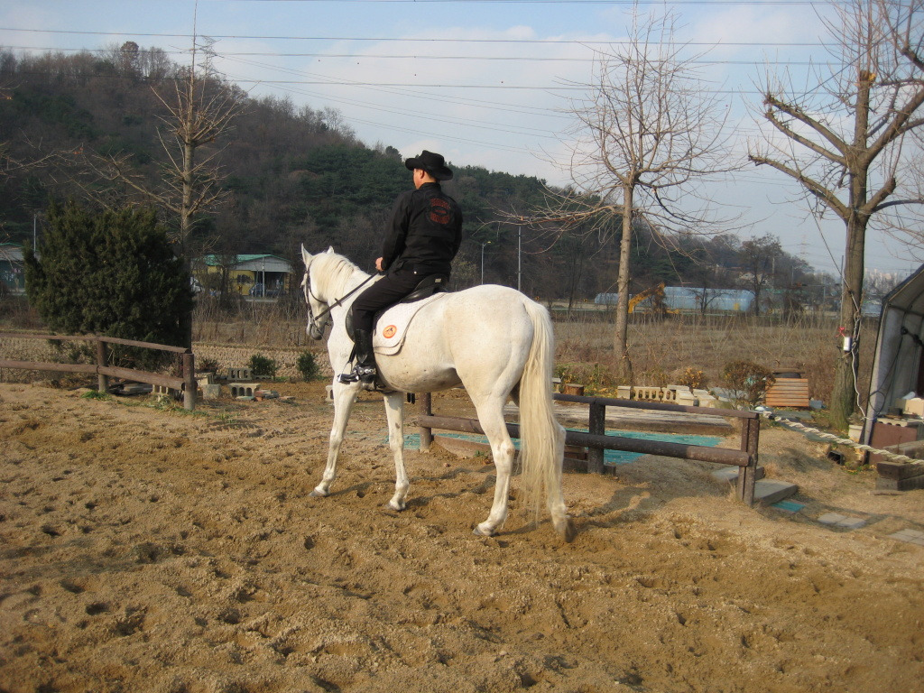 카우보이 이미지