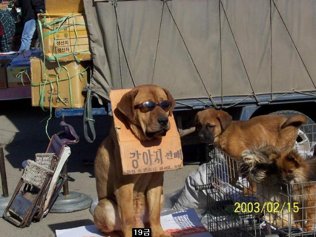 거참 이미지